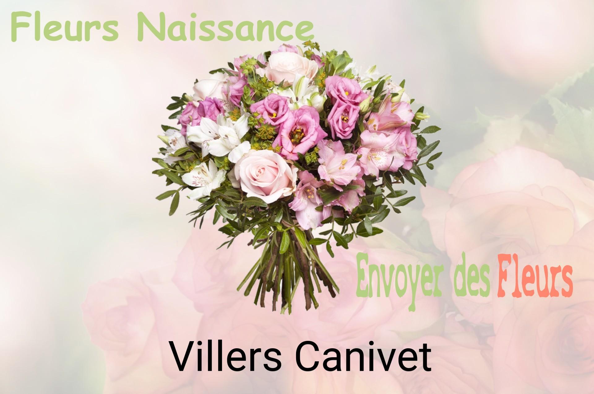 Bouquet de fleurs de naissance livré à Villers-Canivet